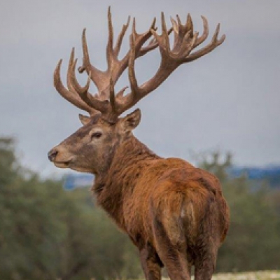 Around the Ranch 2018-19